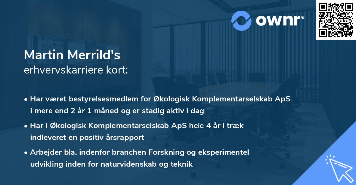 Martin Merrild's erhvervskarriere kort