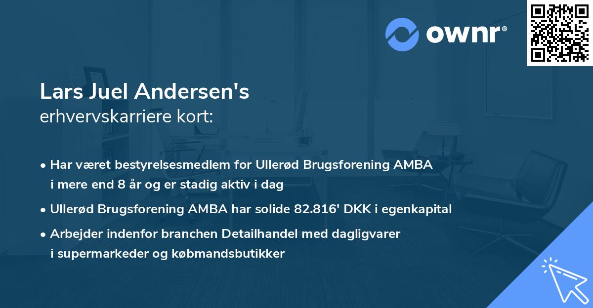 Lars Juel Andersen's erhvervskarriere kort