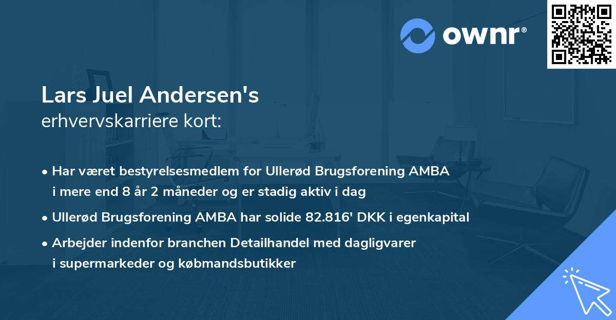 Lars Juel Andersen's erhvervskarriere kort