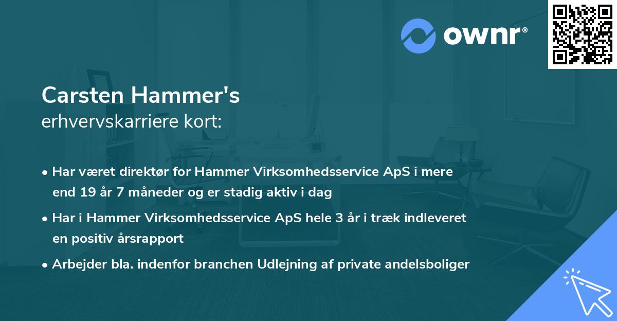 Carsten Hammer's erhvervskarriere kort