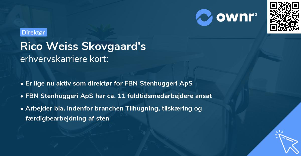 Rico Weiss Skovgaard's erhvervskarriere kort