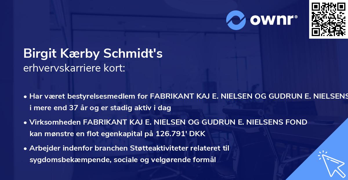 Birgit Kærby Schmidt's erhvervskarriere kort