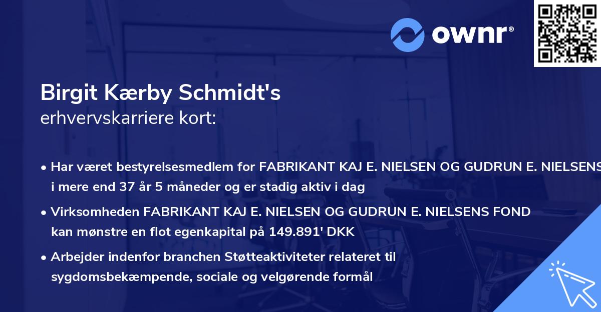 Birgit Kærby Schmidt's erhvervskarriere kort