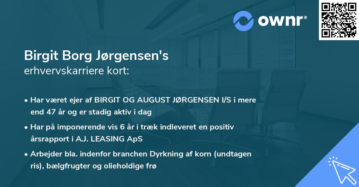 Birgit Borg Jørgensen's erhvervskarriere kort