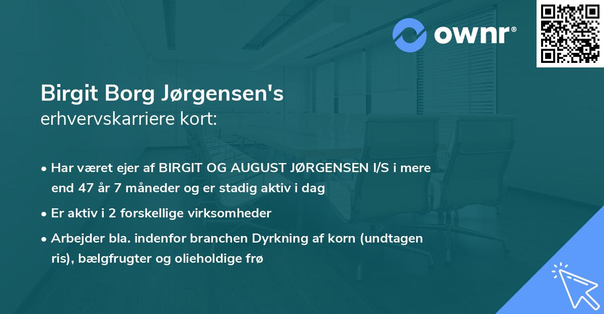 Birgit Borg Jørgensen's erhvervskarriere kort