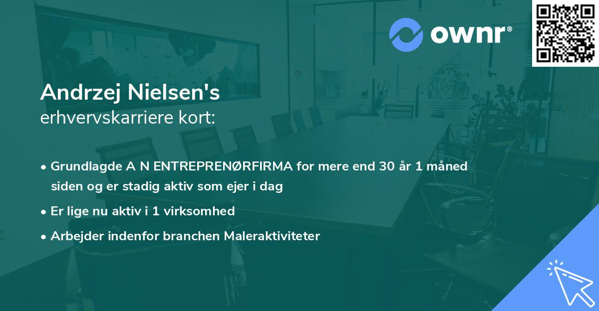 Andrzej Nielsen's erhvervskarriere kort