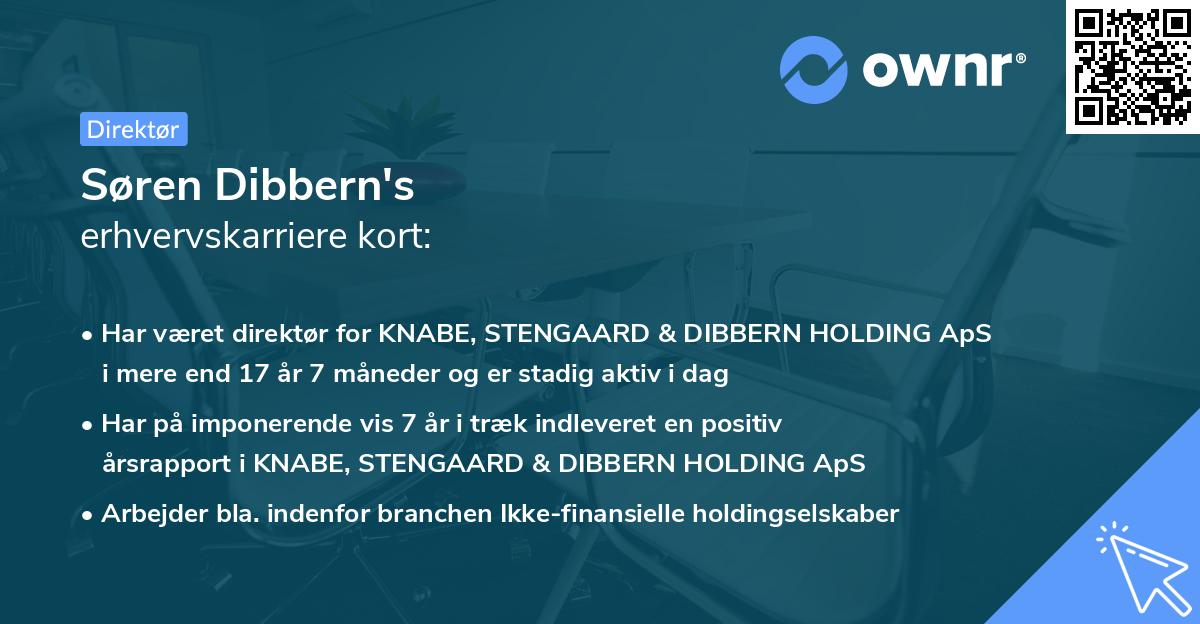 Søren Dibbern's erhvervskarriere kort