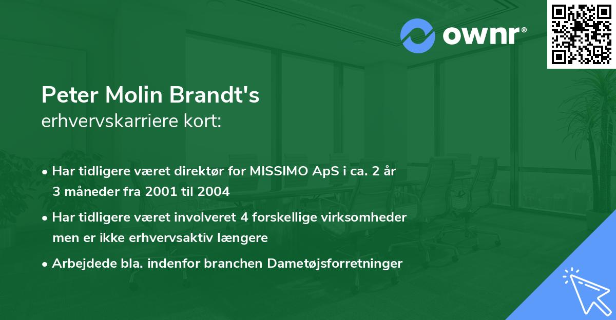 Peter Molin Brandt's erhvervskarriere kort