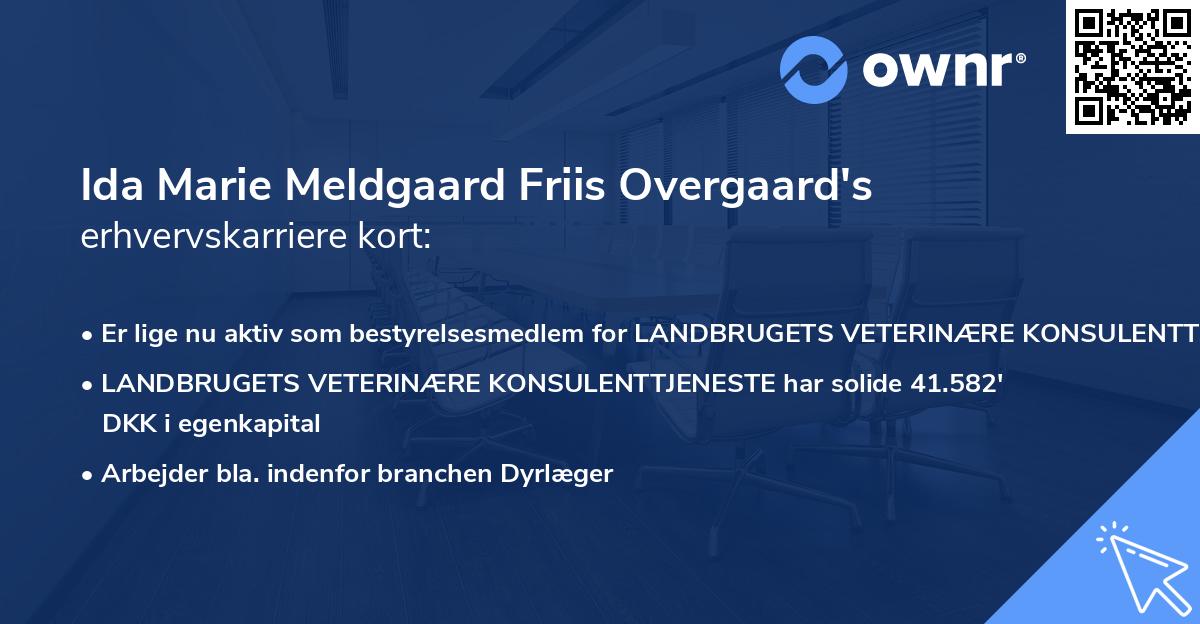 Ida Marie Meldgaard Friis Overgaard's erhvervskarriere kort