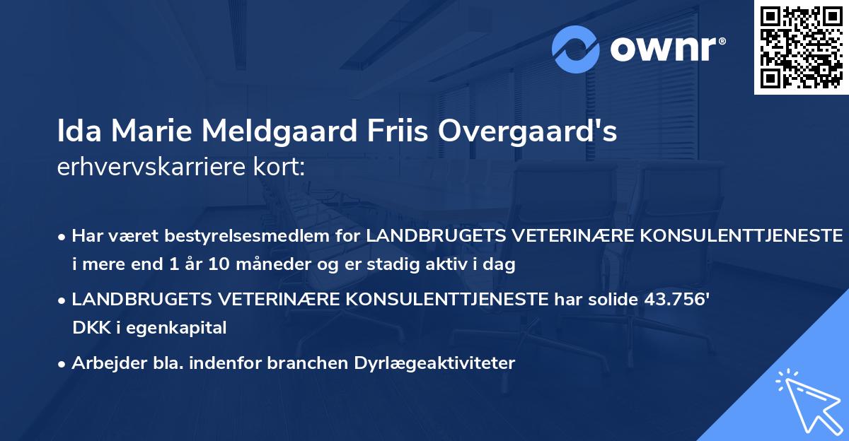 Ida Marie Meldgaard Friis Overgaard's erhvervskarriere kort
