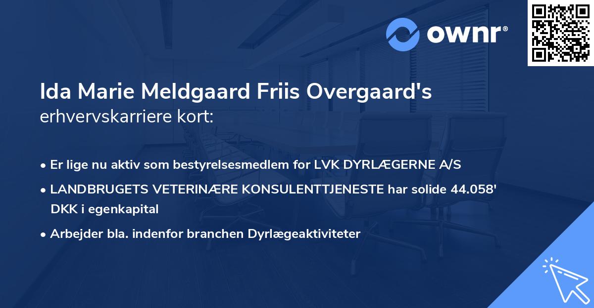 Ida Marie Meldgaard Friis Overgaard's erhvervskarriere kort
