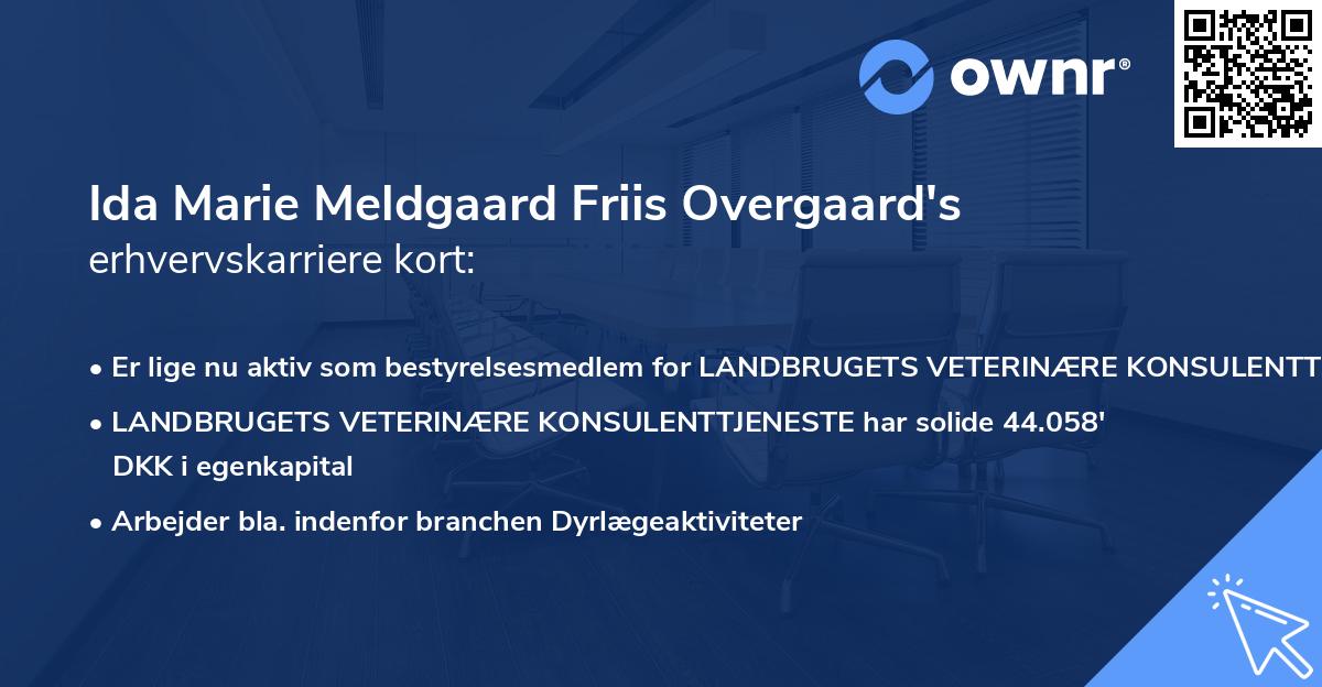 Ida Marie Meldgaard Friis Overgaard's erhvervskarriere kort