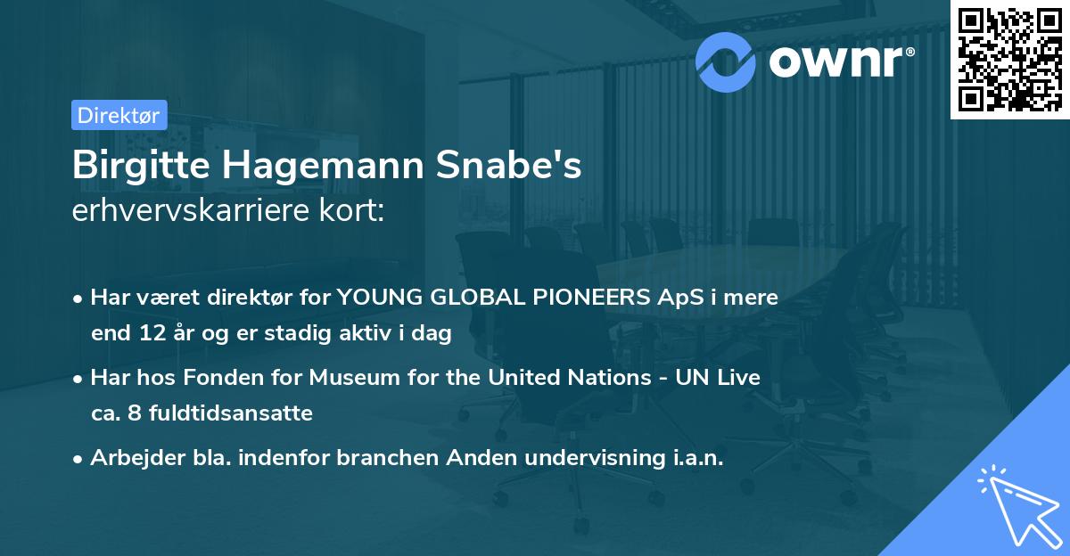 Birgitte Hagemann Snabe's erhvervskarriere kort