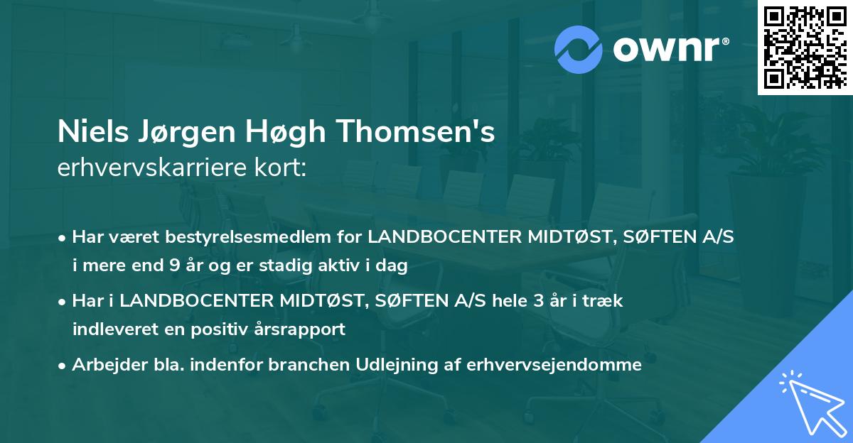 Niels Jørgen Høgh Thomsen's erhvervskarriere kort