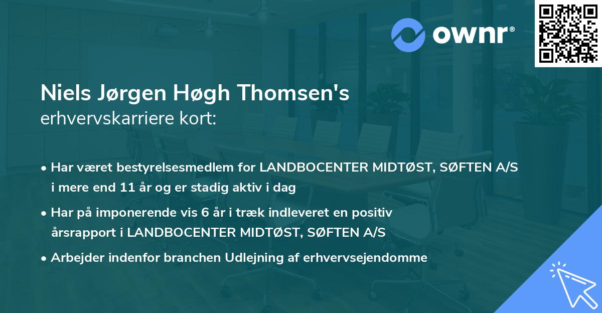 Niels Jørgen Høgh Thomsen's erhvervskarriere kort