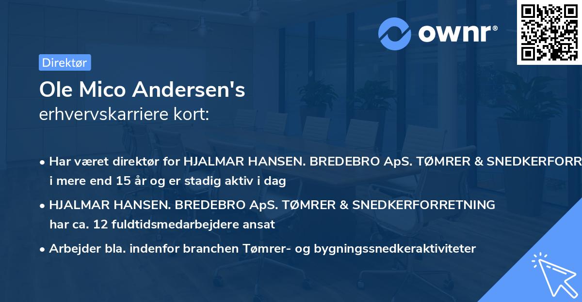 Ole Mico Andersen's erhvervskarriere kort