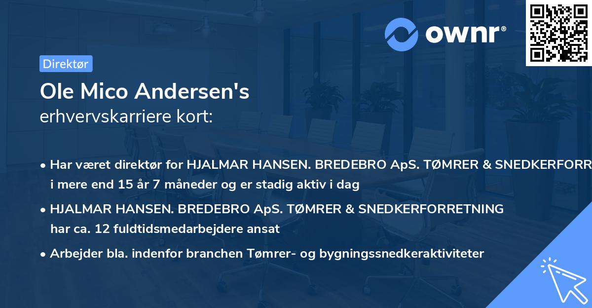 Ole Mico Andersen's erhvervskarriere kort