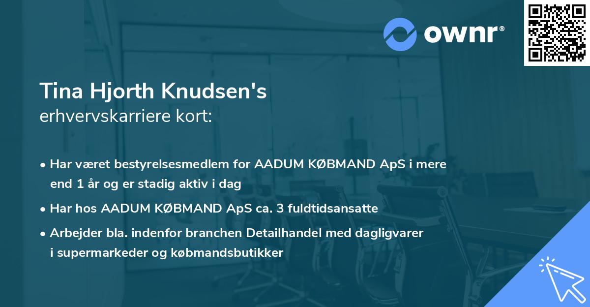 Tina Hjorth Knudsen's erhvervskarriere kort