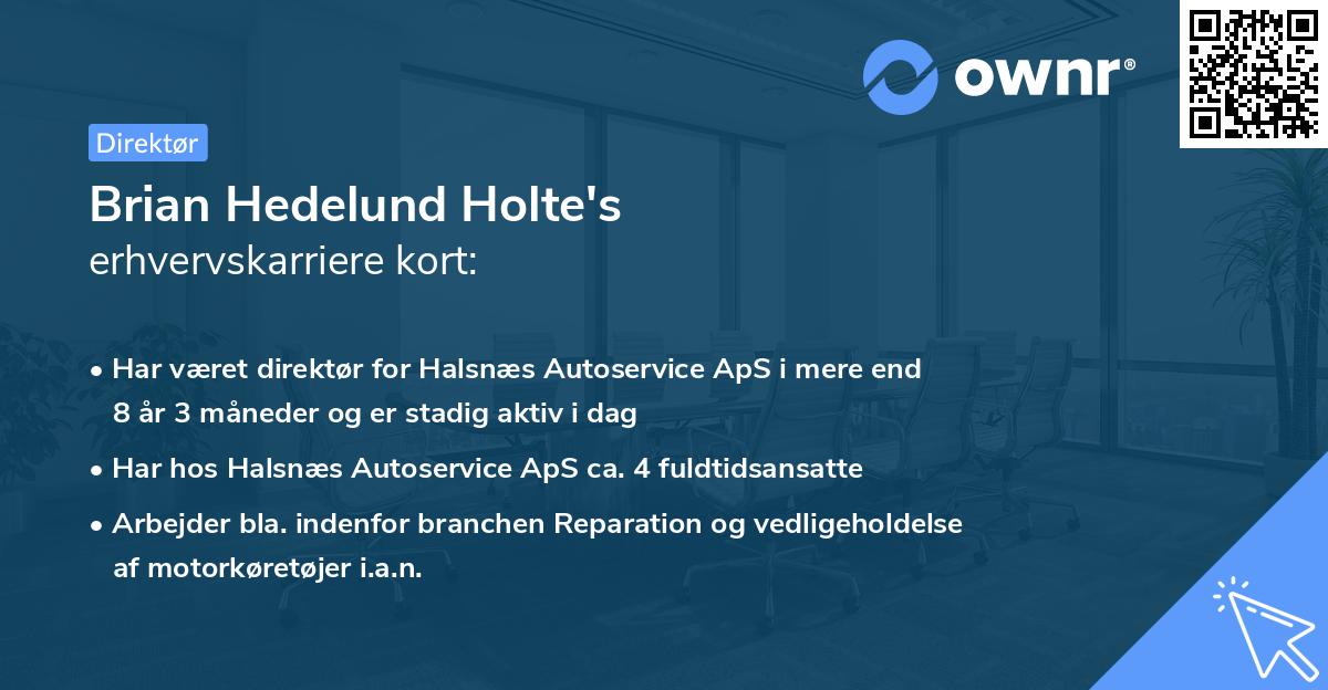 Brian Hedelund Holte's erhvervskarriere kort