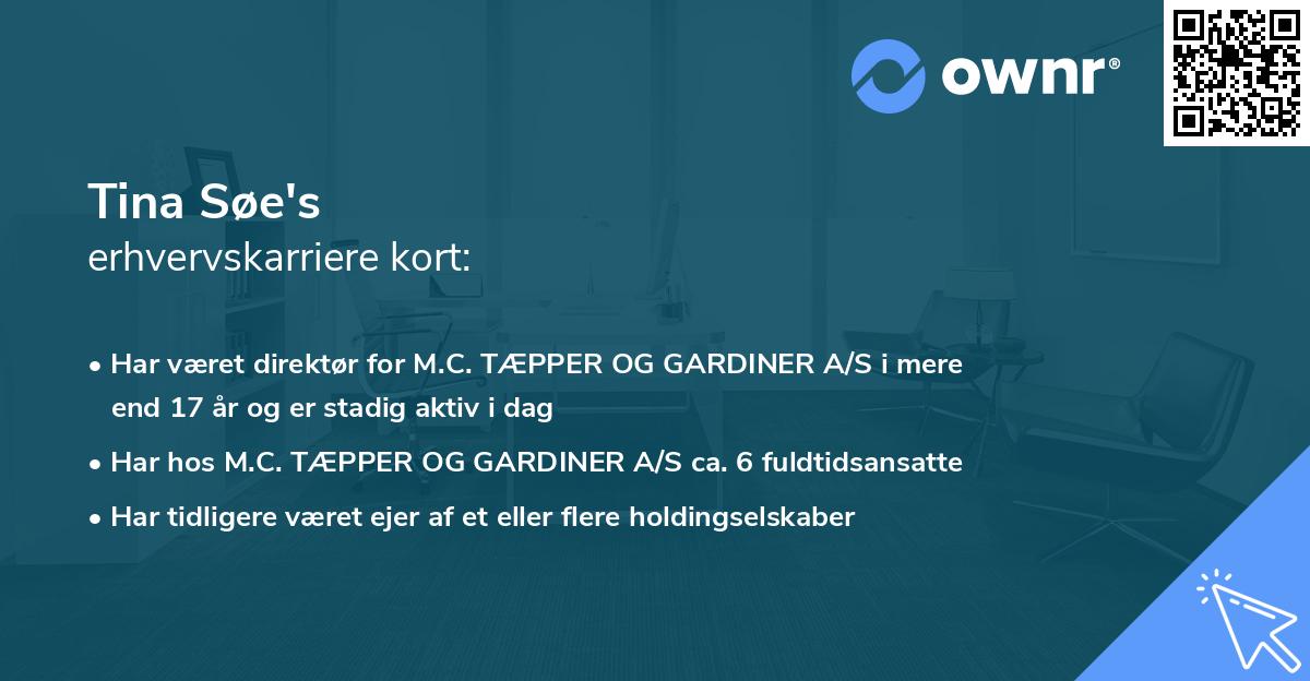 Tina Søe's erhvervskarriere kort