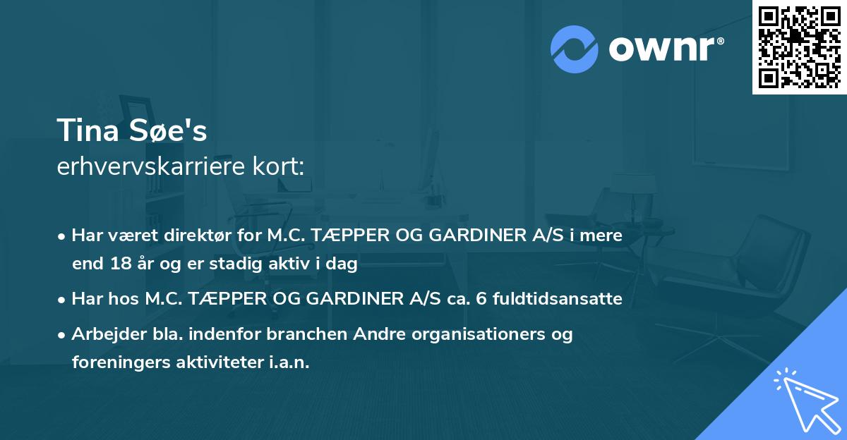 Tina Søe's erhvervskarriere kort
