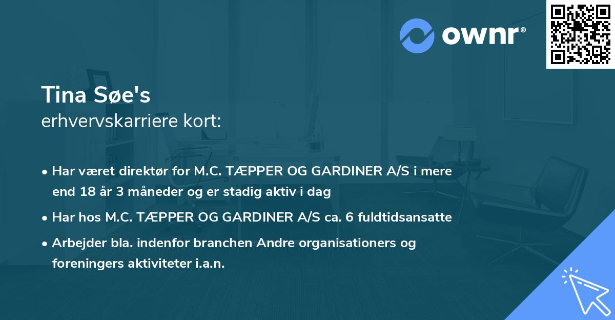 Tina Søe's erhvervskarriere kort