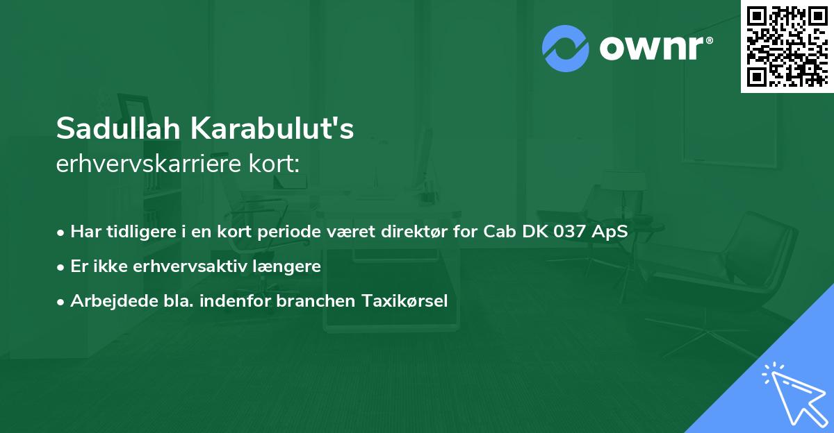 Sadullah Karabulut's erhvervskarriere kort