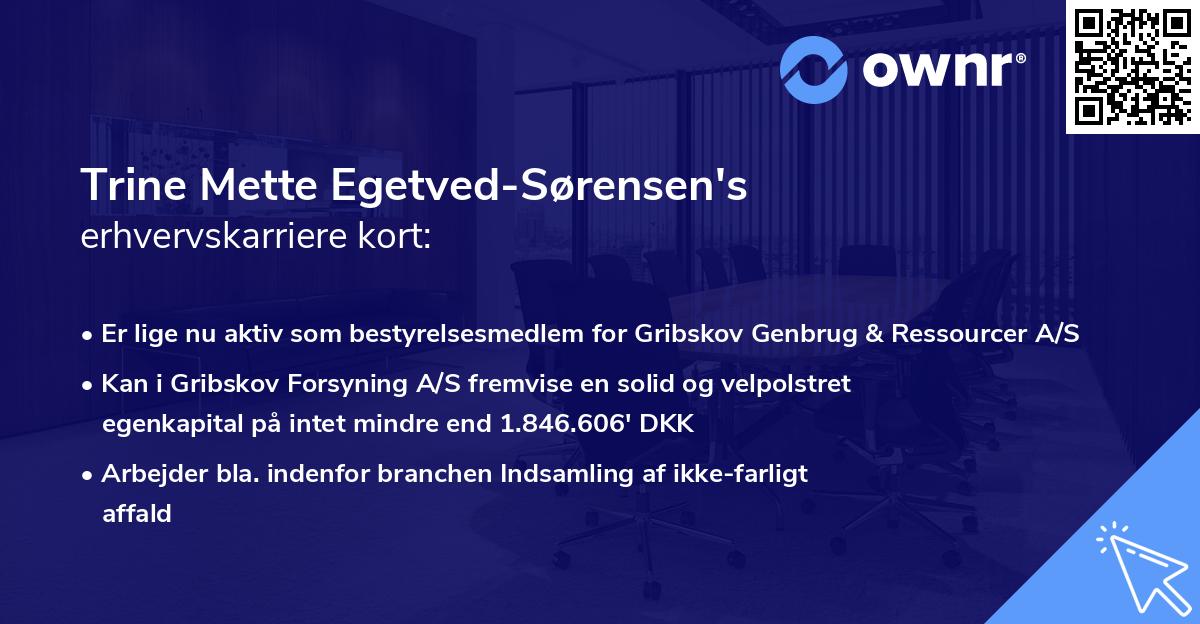 Trine Mette Egetved-Sørensen's erhvervskarriere kort