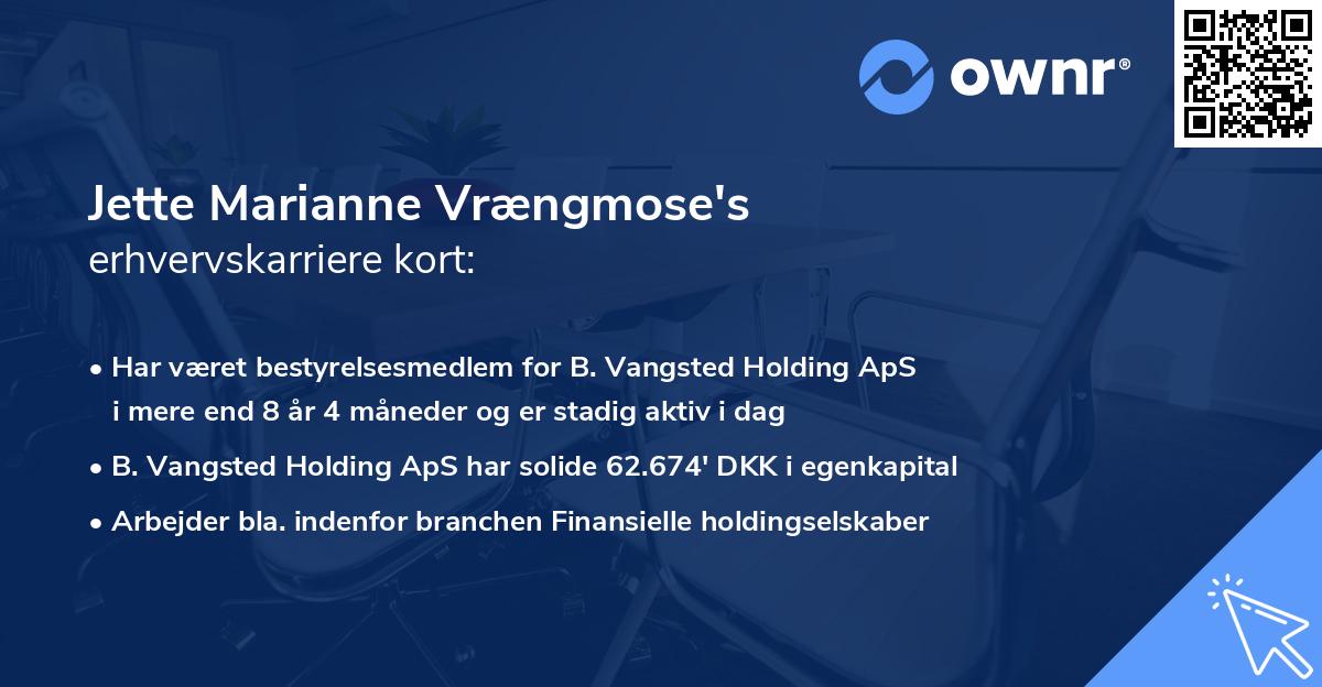 Jette Marianne Vrængmose's erhvervskarriere kort