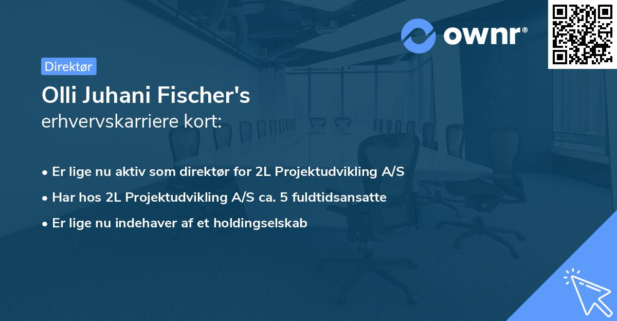 Olli Juhani Fischer's erhvervskarriere kort