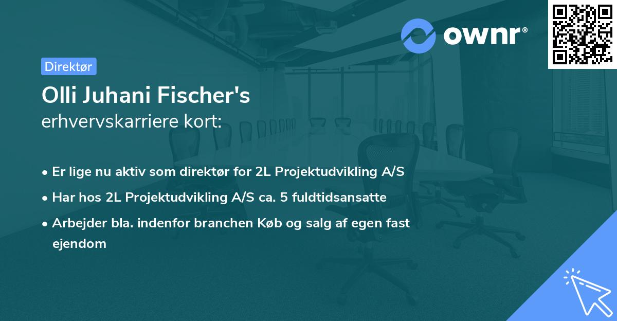 Olli Juhani Fischer's erhvervskarriere kort