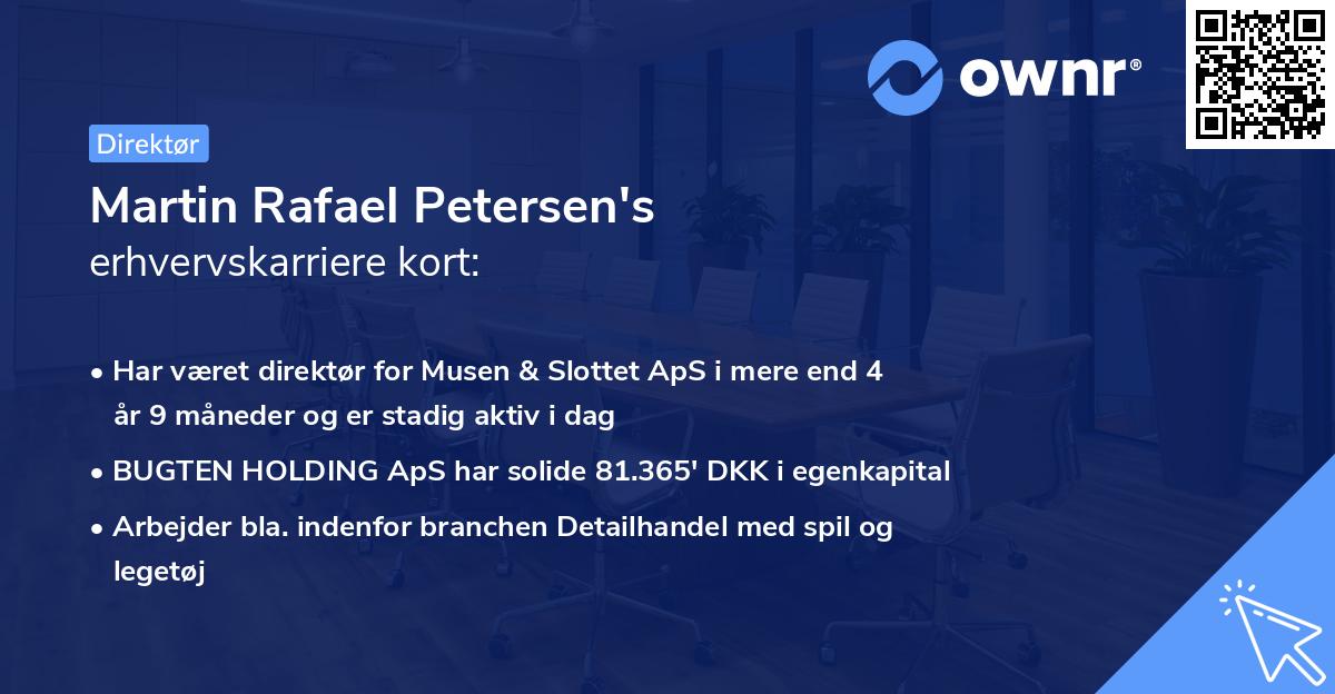 Martin Rafael Petersen's erhvervskarriere kort