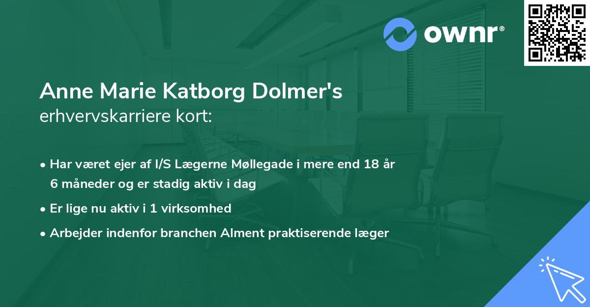 Anne Marie Katborg Dolmer's erhvervskarriere kort