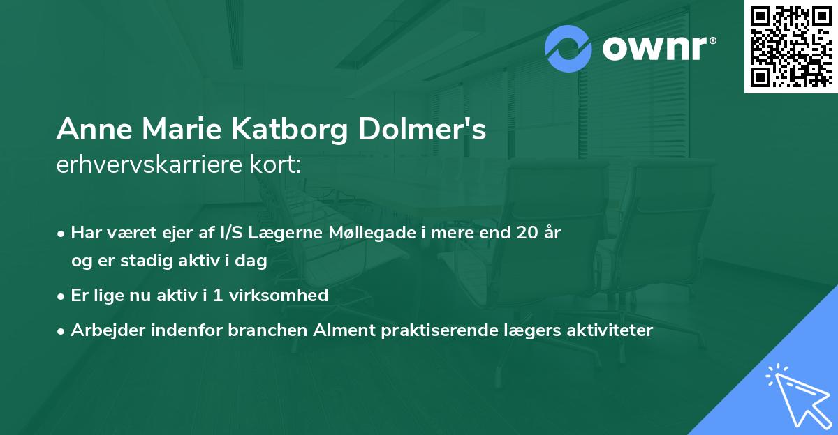 Anne Marie Katborg Dolmer's erhvervskarriere kort