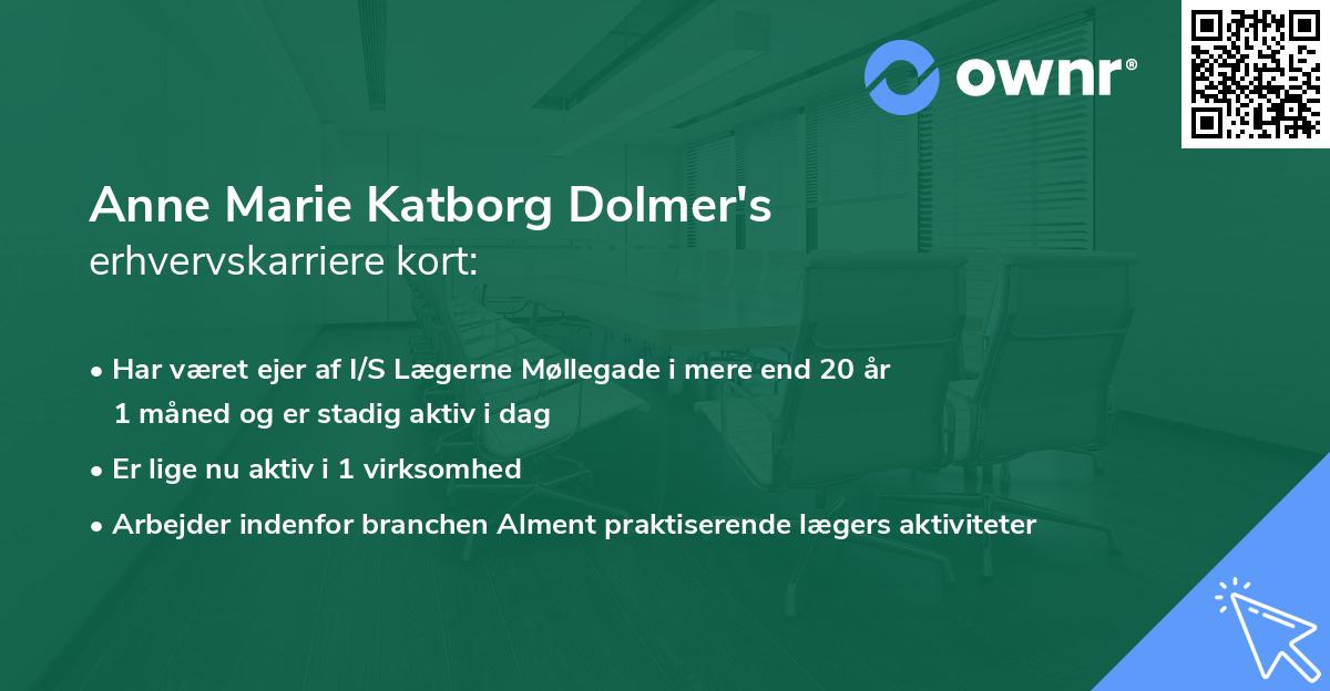 Anne Marie Katborg Dolmer's erhvervskarriere kort