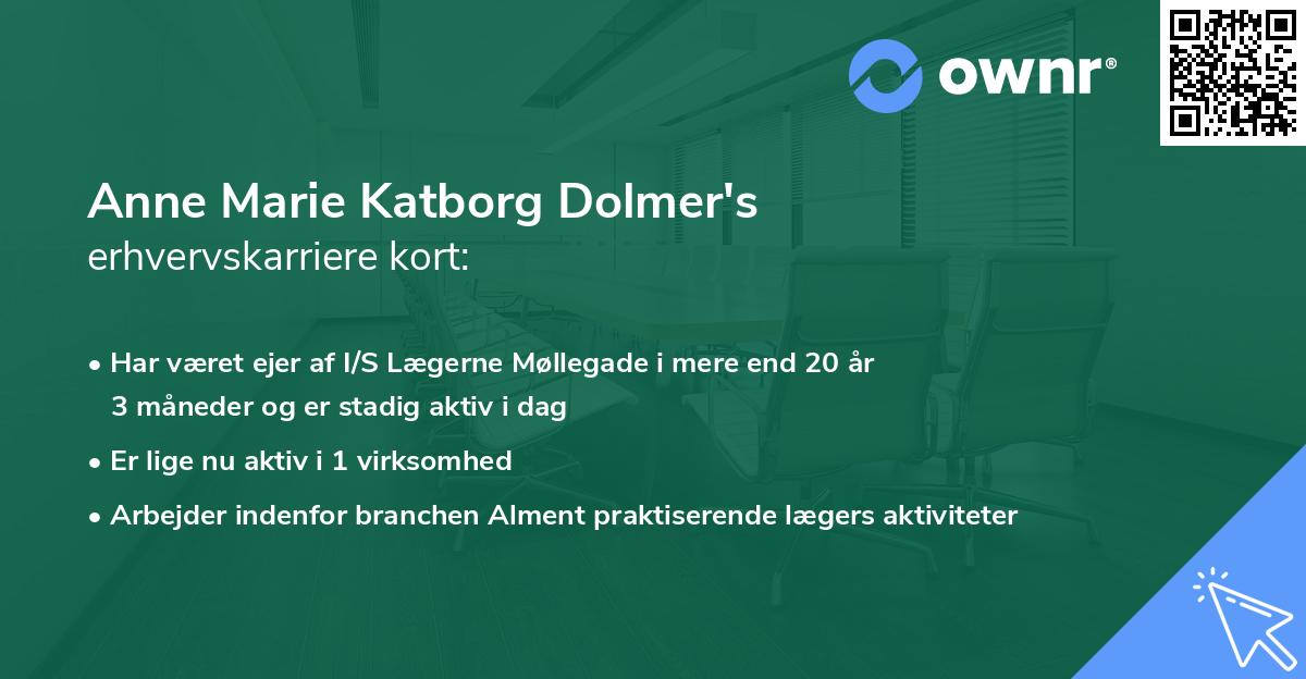 Anne Marie Katborg Dolmer's erhvervskarriere kort