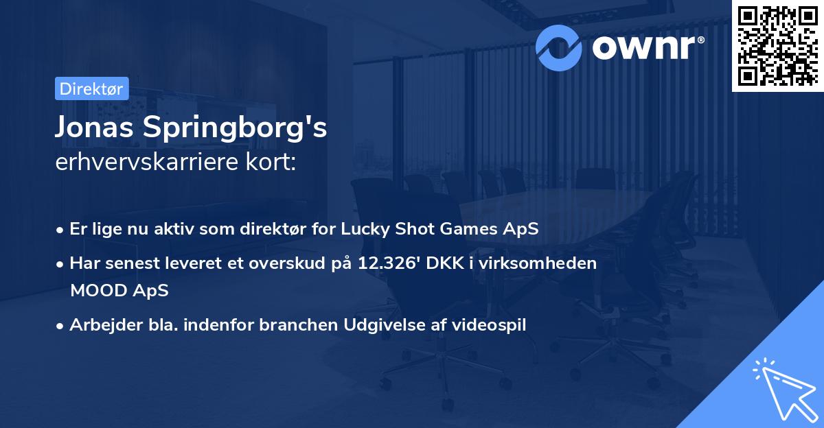 Jonas Springborg's erhvervskarriere kort
