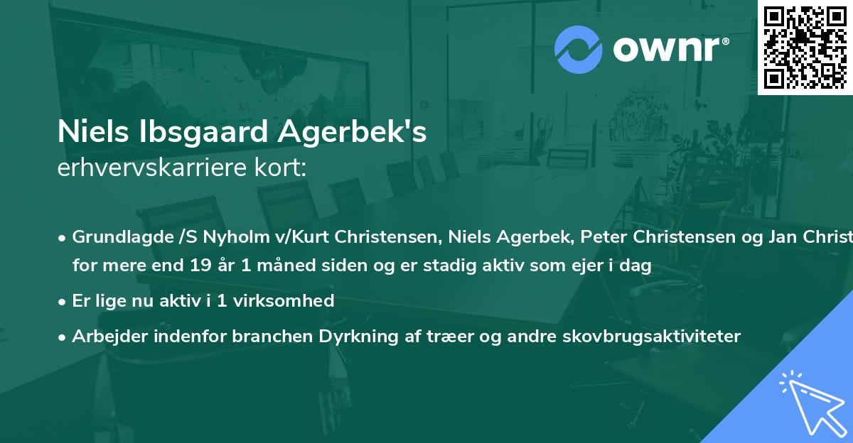 Niels Ibsgaard Agerbek's erhvervskarriere kort