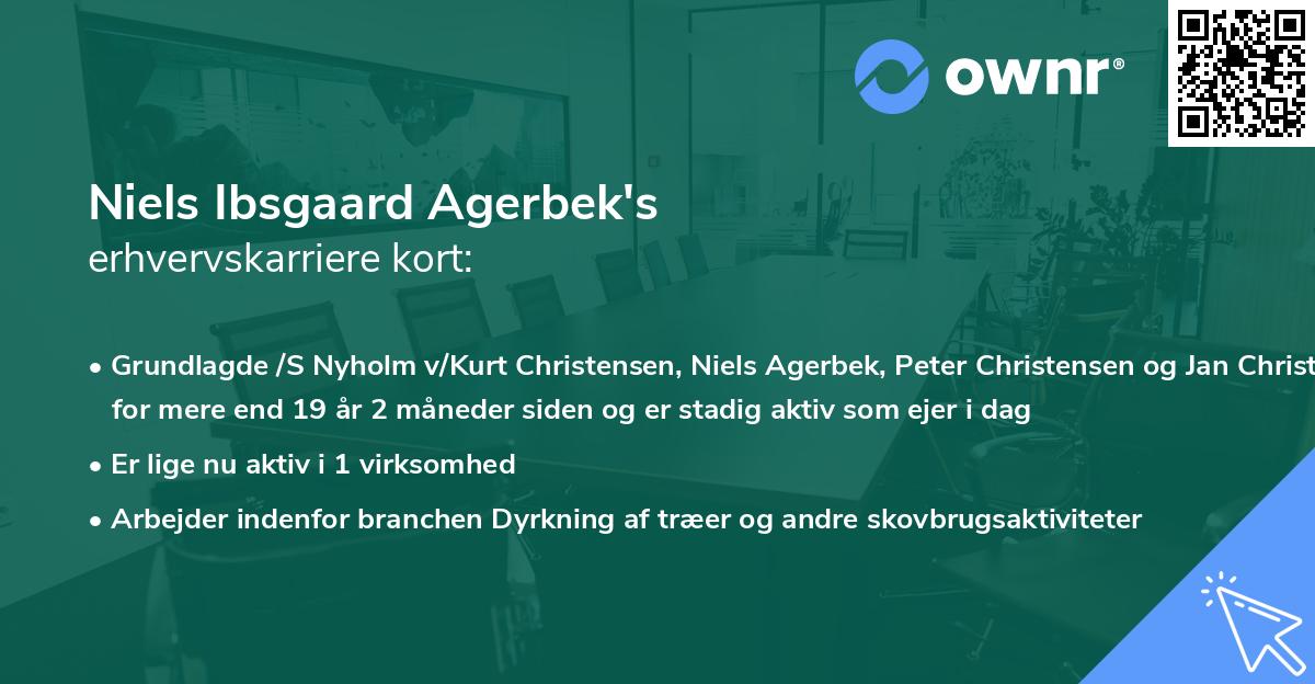 Niels Ibsgaard Agerbek's erhvervskarriere kort