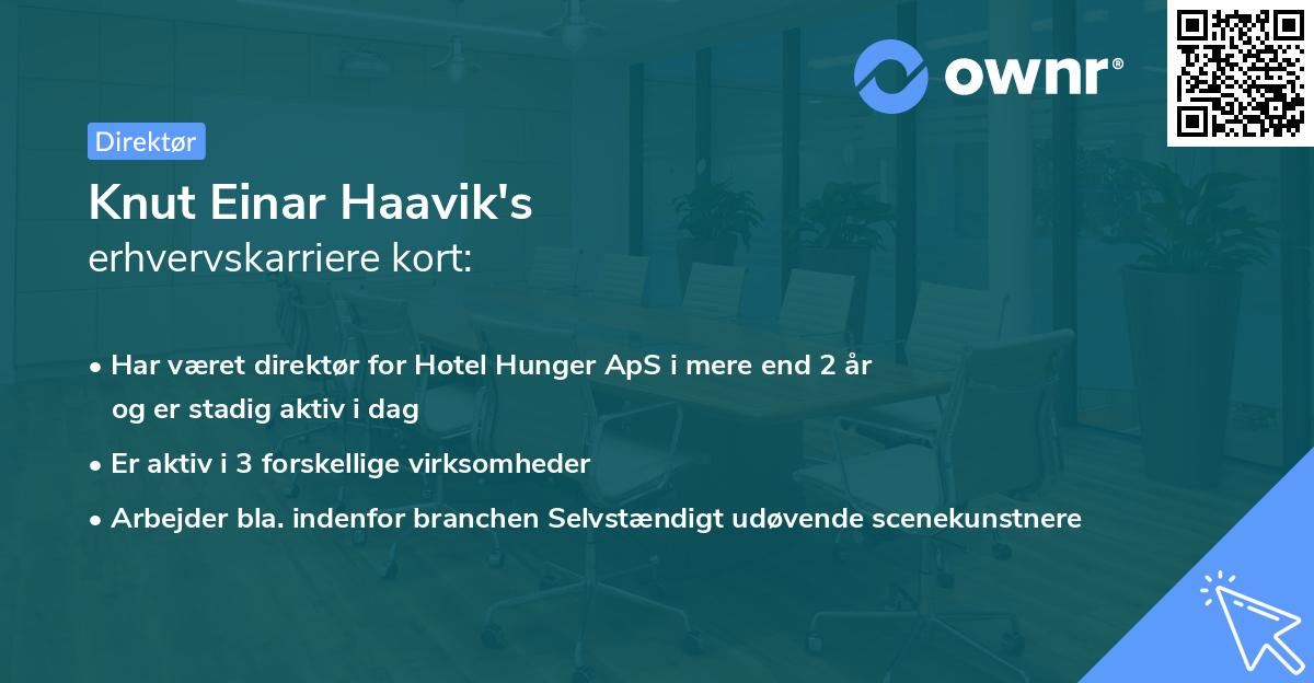 Knut Einar Haavik's erhvervskarriere kort