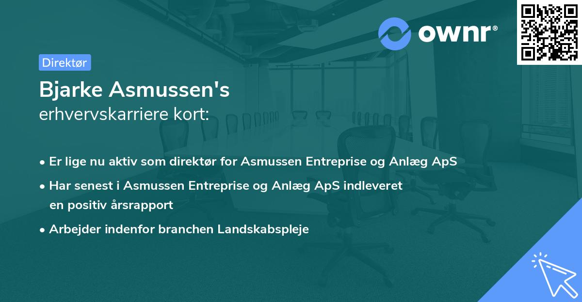Bjarke Asmussen's erhvervskarriere kort
