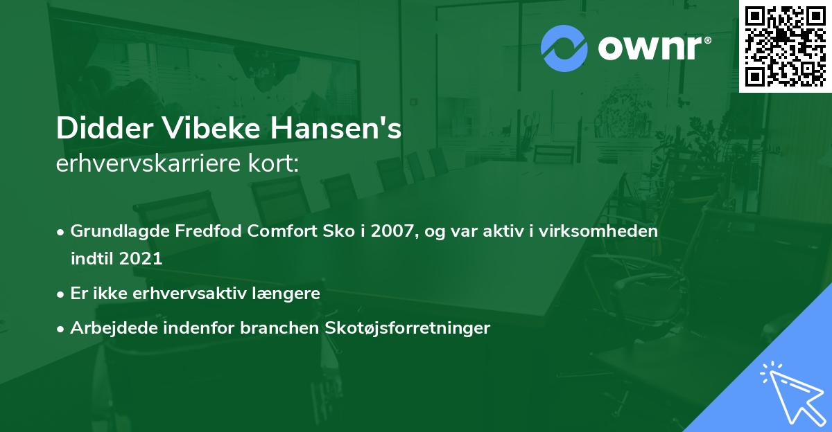 Didder Vibeke Hansen's erhvervskarriere kort