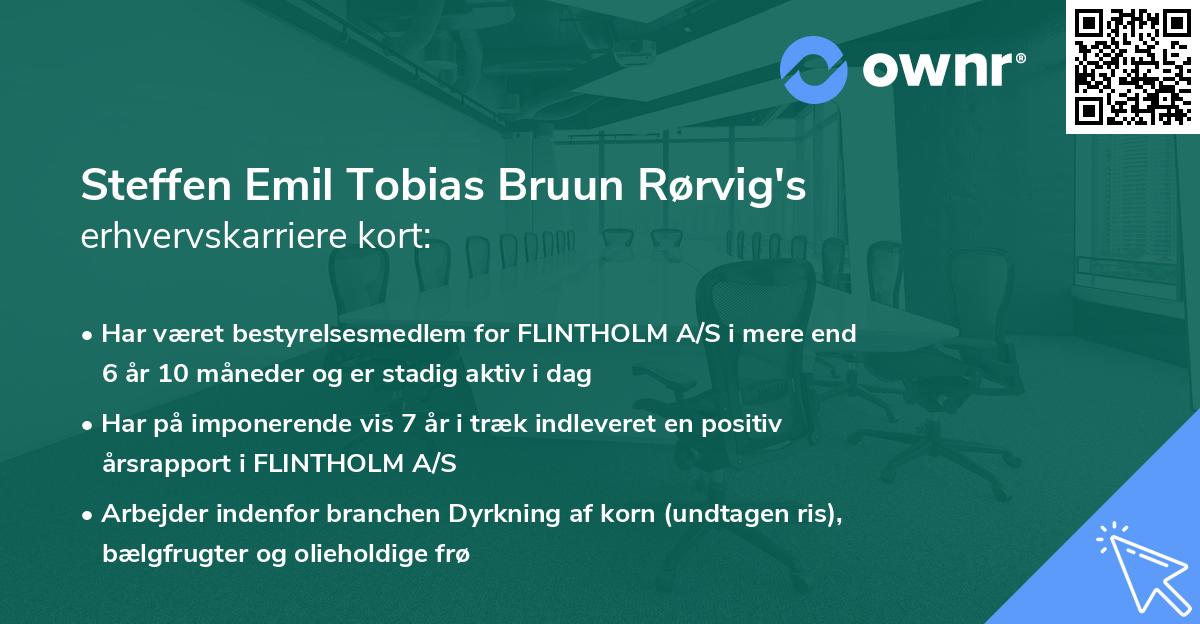 Steffen Emil Tobias Bruun Rørvig's erhvervskarriere kort