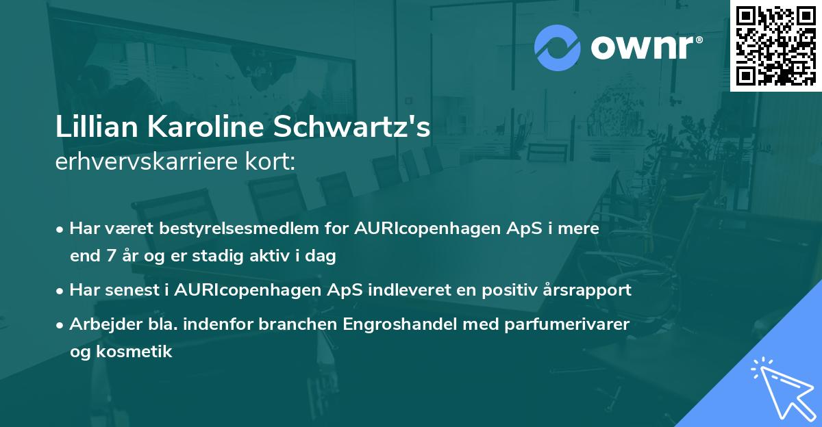Lillian Karoline Schwartz's erhvervskarriere kort