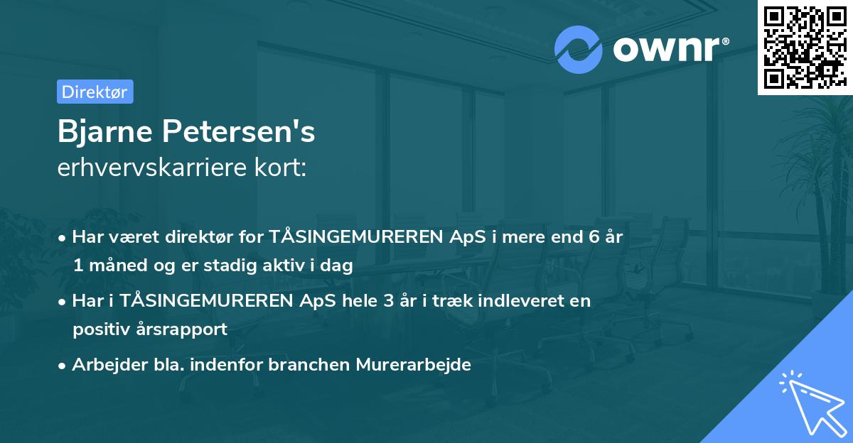 Bjarne Petersen's erhvervskarriere kort