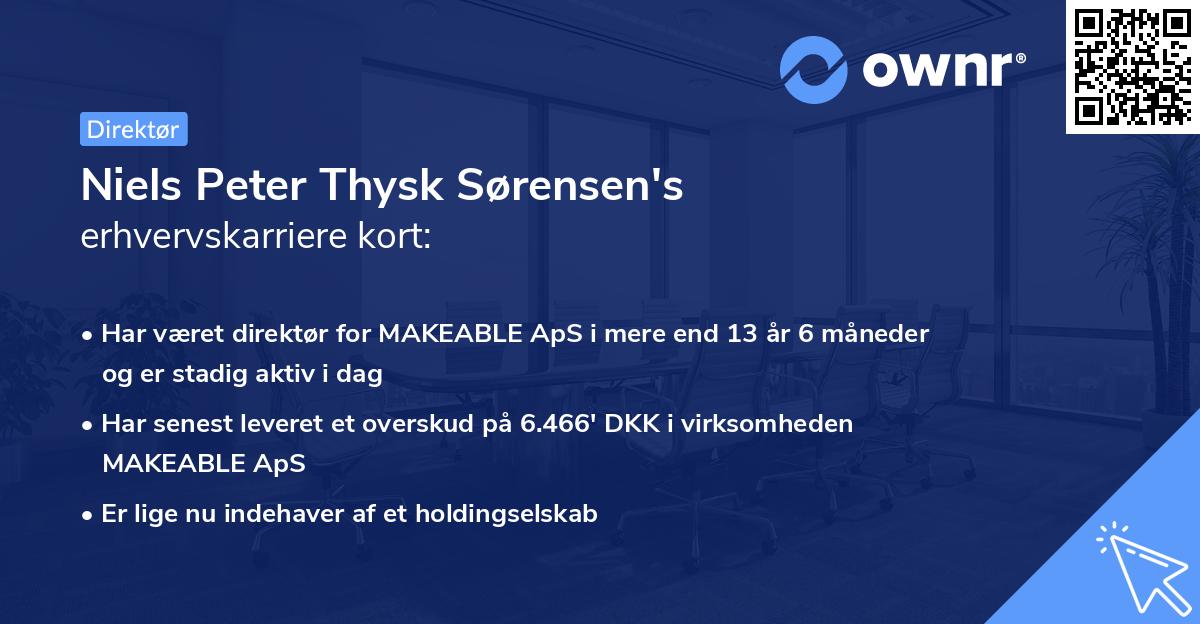 Niels Peter Thysk Sørensen's erhvervskarriere kort