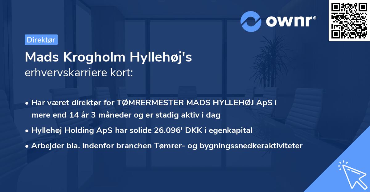 Mads Krogholm Hyllehøj's erhvervskarriere kort