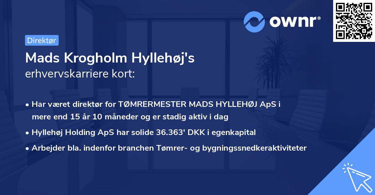Mads Krogholm Hyllehøj's erhvervskarriere kort