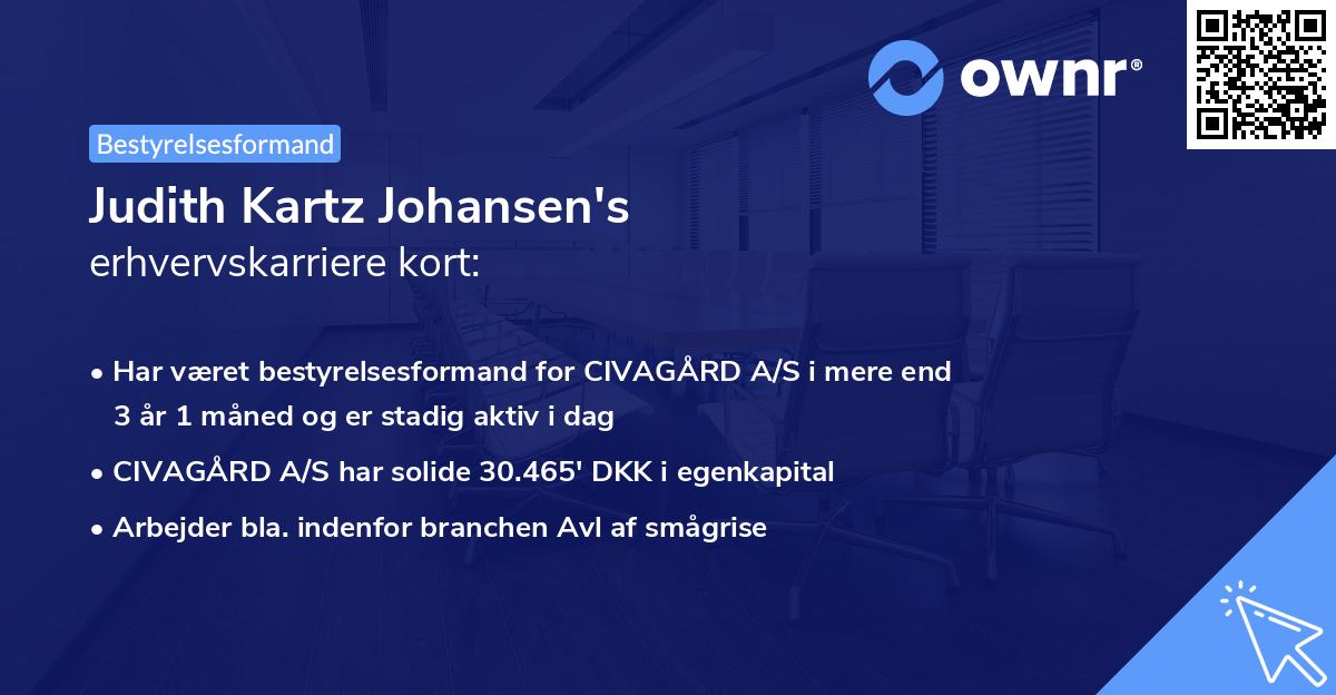 Judith Kartz Johansen's erhvervskarriere kort