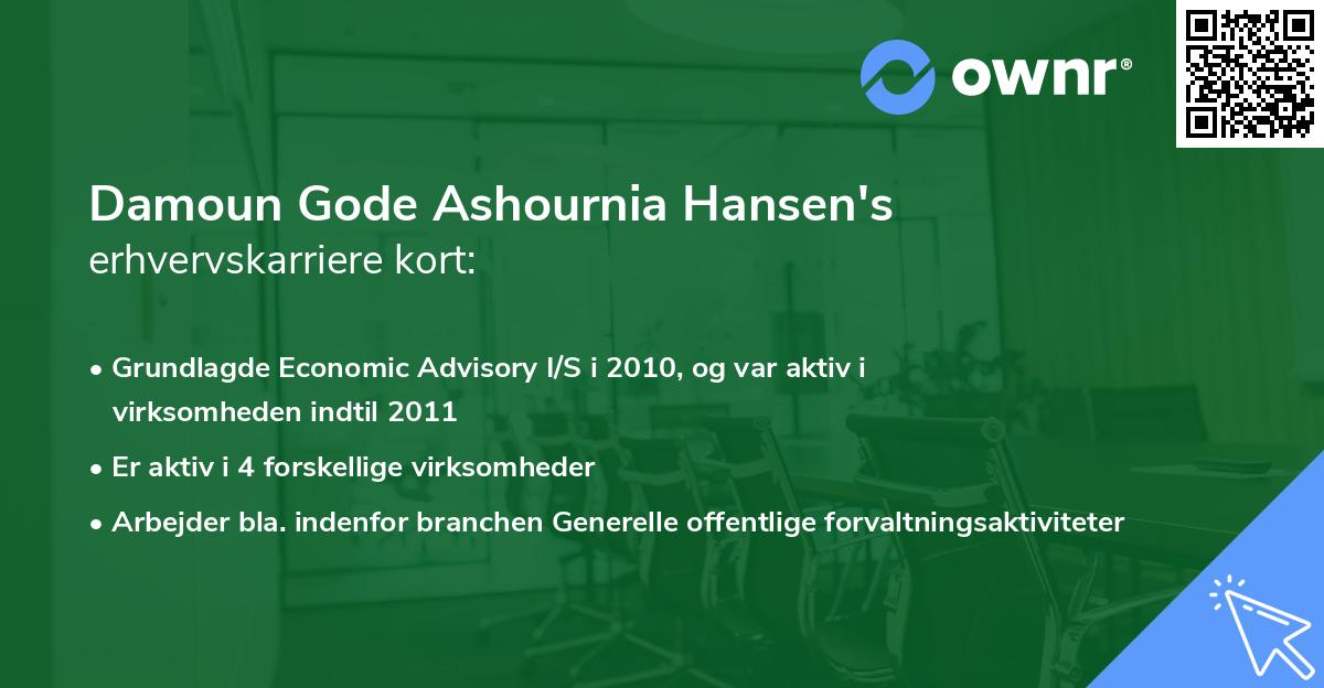 Damoun Gode Ashournia Hansen's erhvervskarriere kort